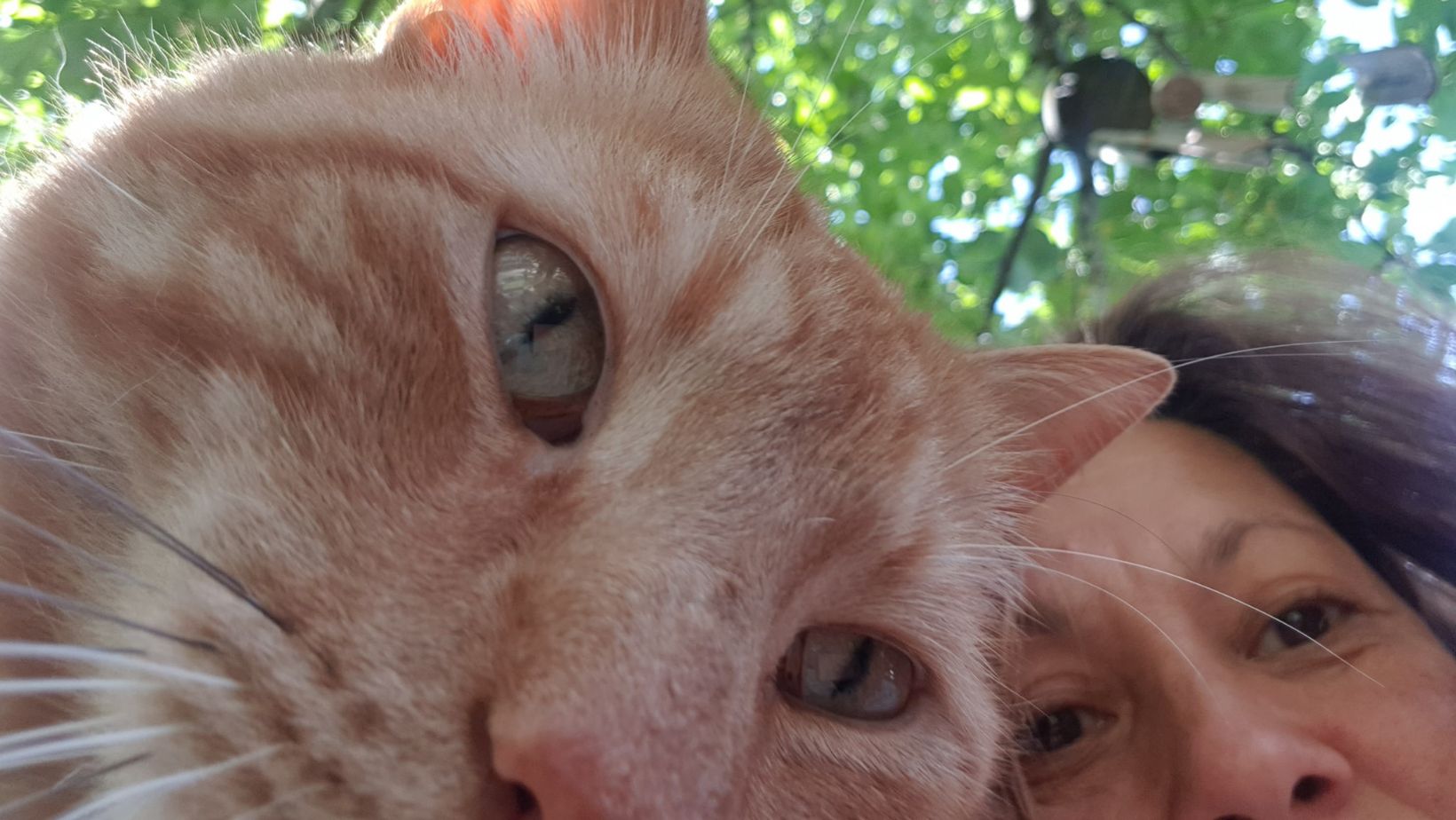 BWW Energetische Shift Fysieke en Emotionele Signalen