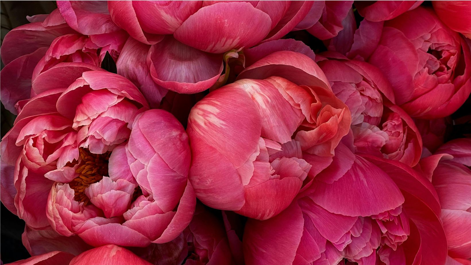 Wanneer Je Echt In Beweging Komt. Een Zielservaring