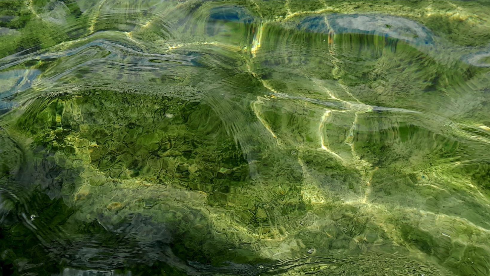 De Reis naar Binnen: De Transformatie die Niemand Je Vertelt