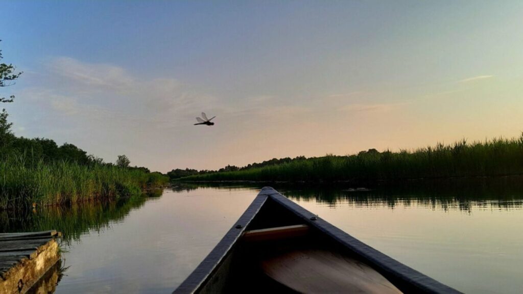 Be Wild Wisdom Bewustzijnscoach op het Water