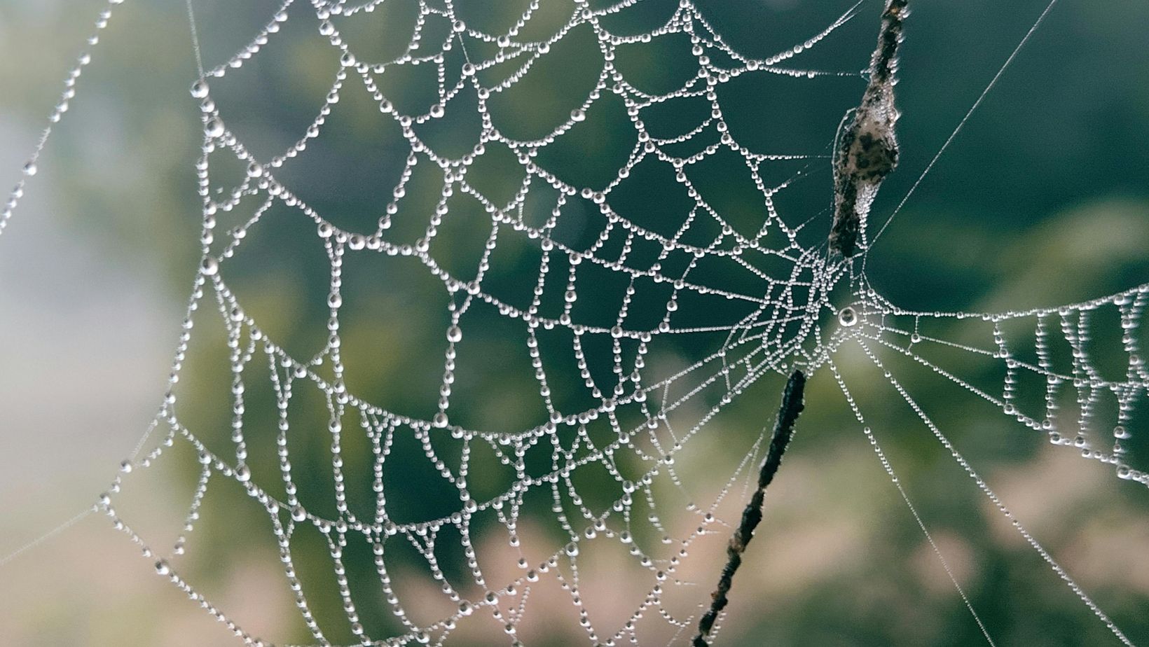 BWW Zelfliefde, Bewustzijn en de Kracht van Kwetsbaarheid