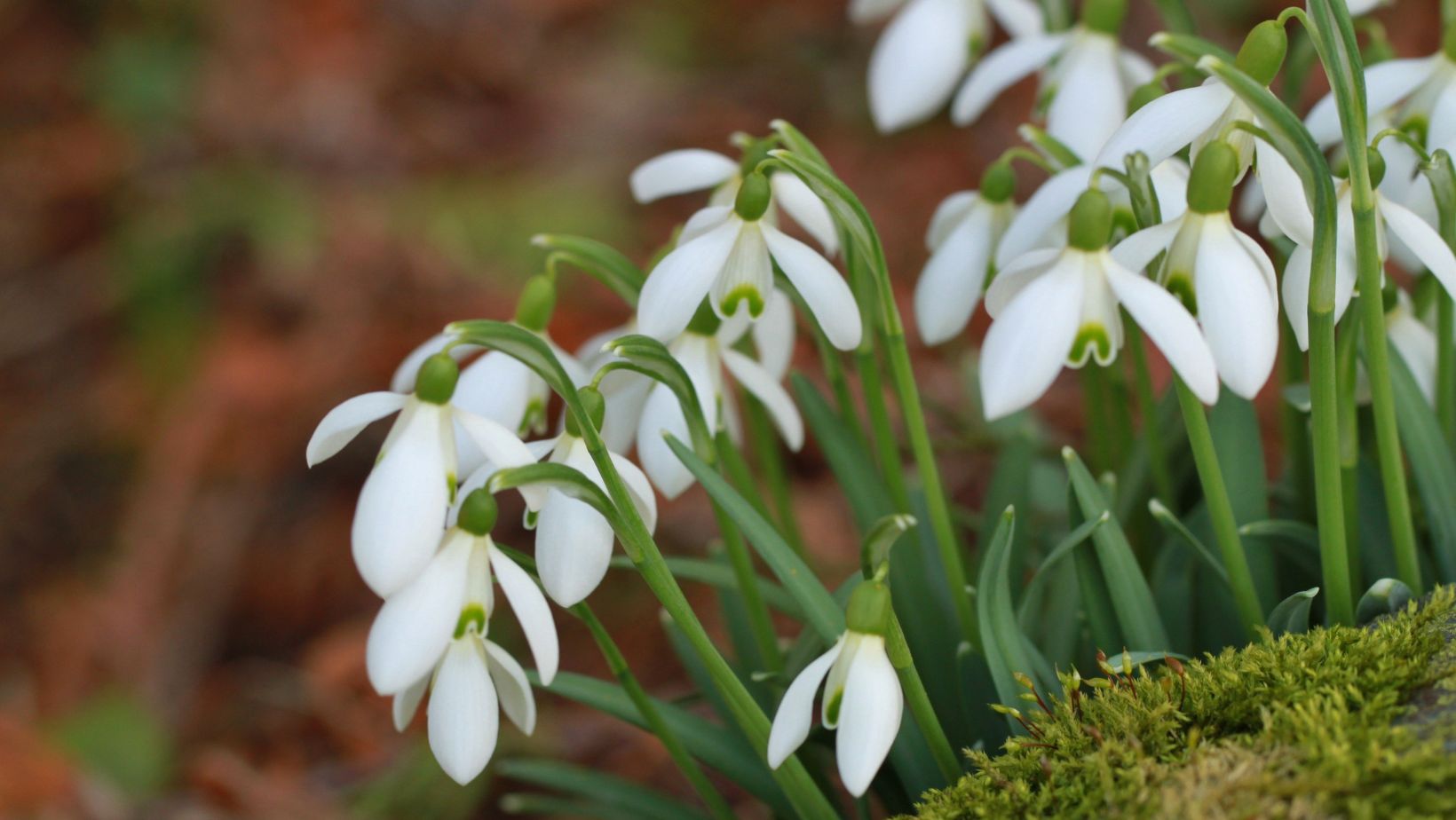 BWW Gevoelens Delen Zonder Klagen