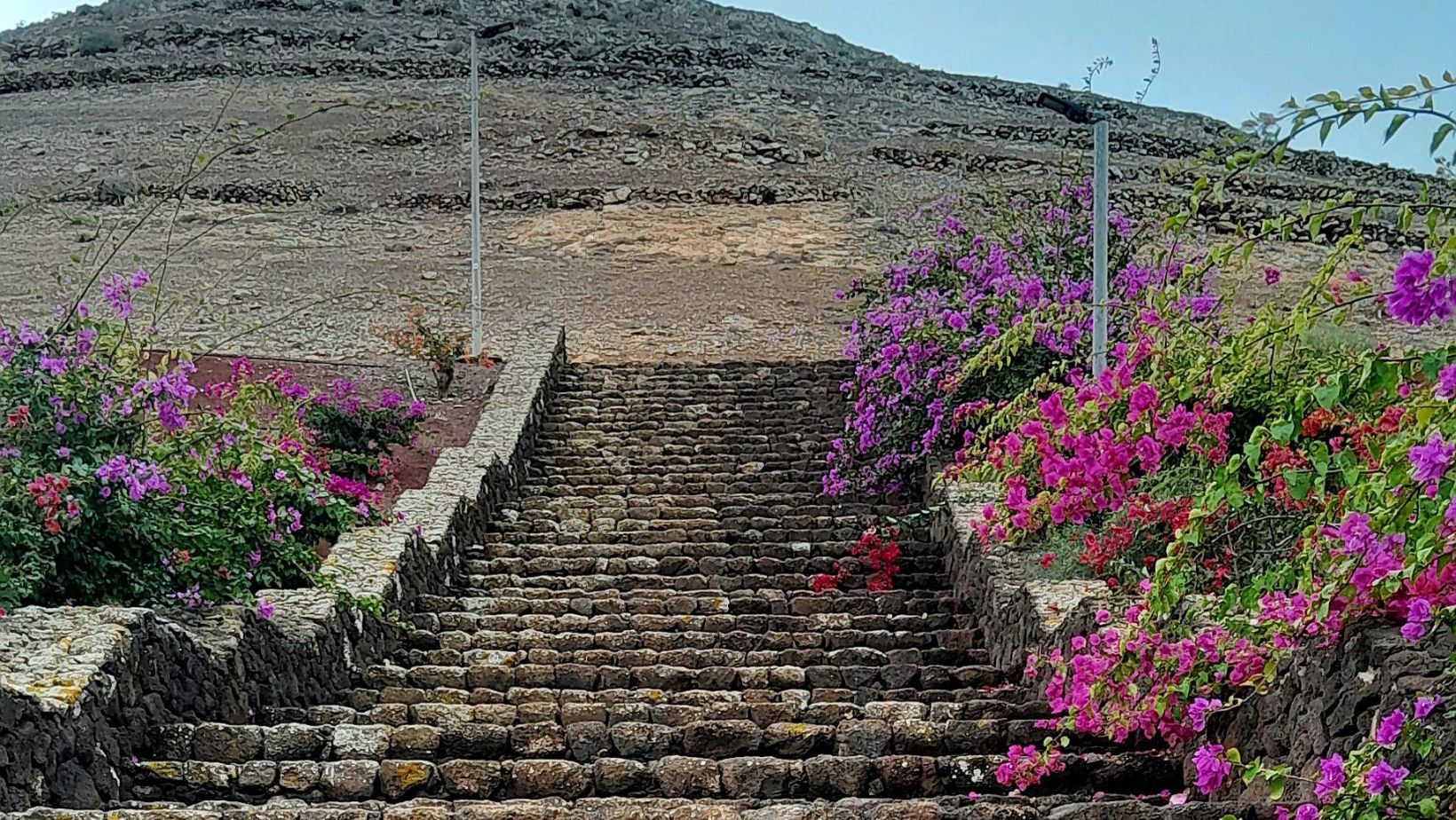 Komen Opdagen: De Kracht van Bewuste Groei..