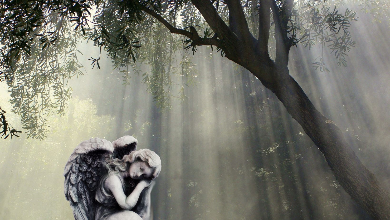 BWW Mijn engelen vertellen mij...