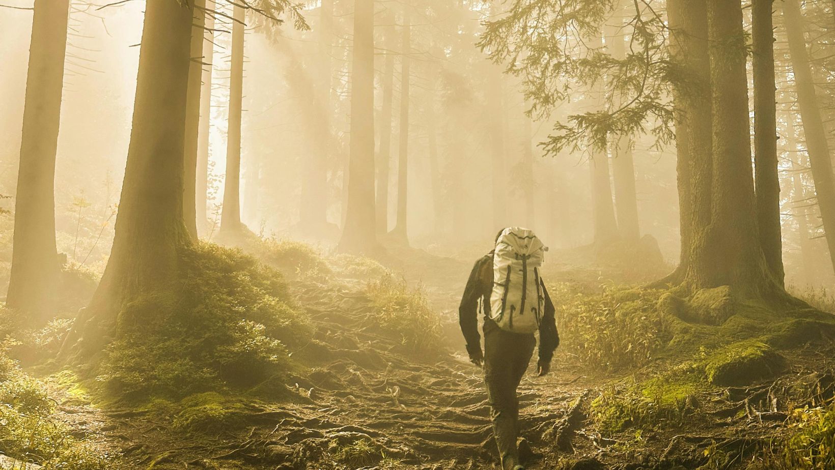 BWW Van Overleven naar Dromen Je Toekomst Opnieuw Ontdekken