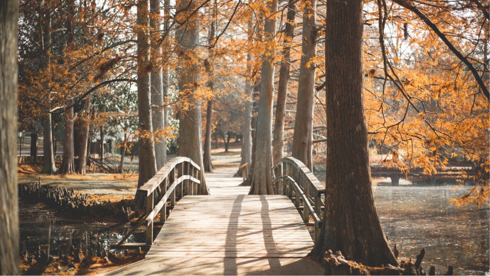 Nieuwe Herinneringen Maken Laat Het Verleden Los