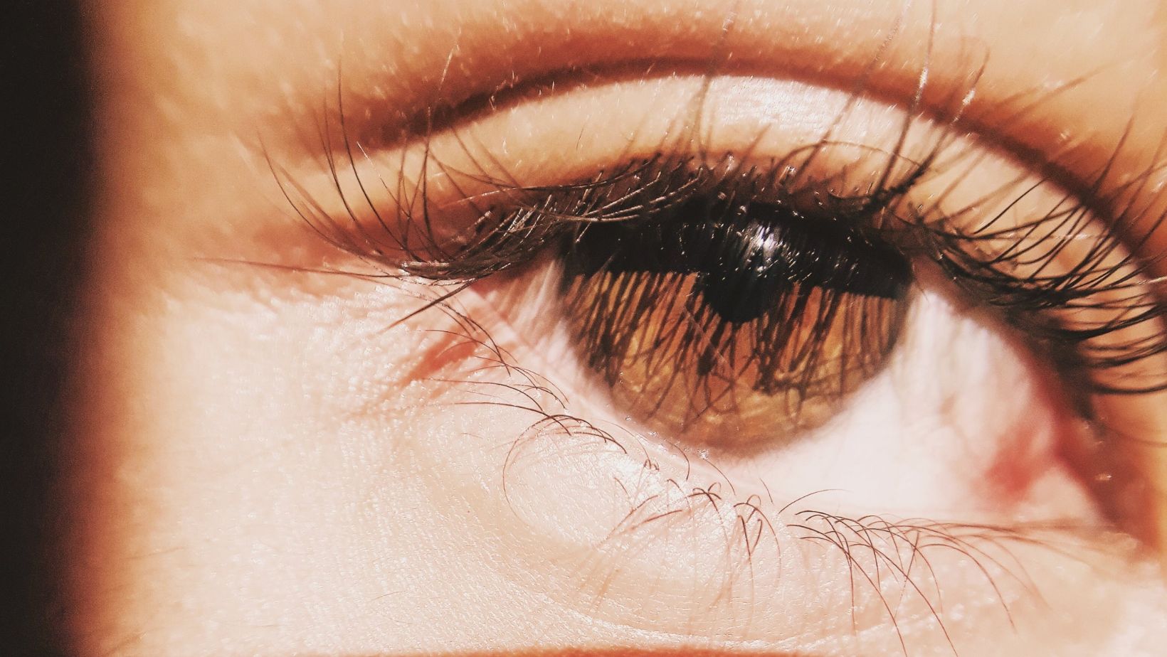 Wanneer Jij Ontwaakt