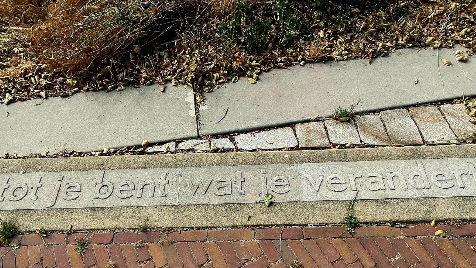 Tot je Bent wat je Verandert